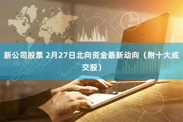 新公司股票 2月27日北向资金最新动向（附十大成交股）