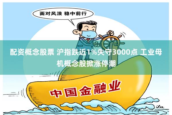 配资概念股票 沪指跌近1%失守3000点 工业母机概念股掀涨停潮