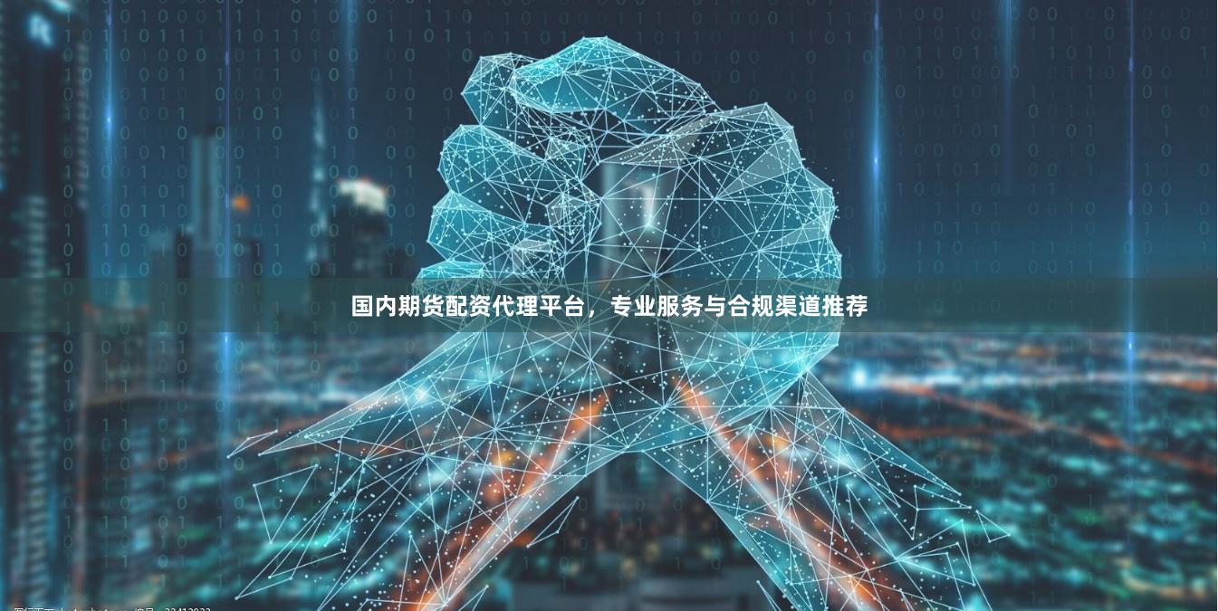 国内期货配资代理平台，专业服务与合规渠道推荐