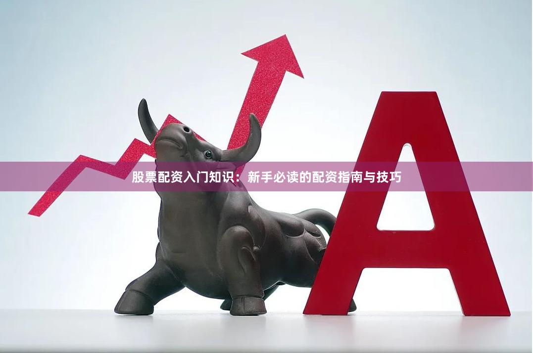 股票配资入门知识：新手必读的配资指南与技巧