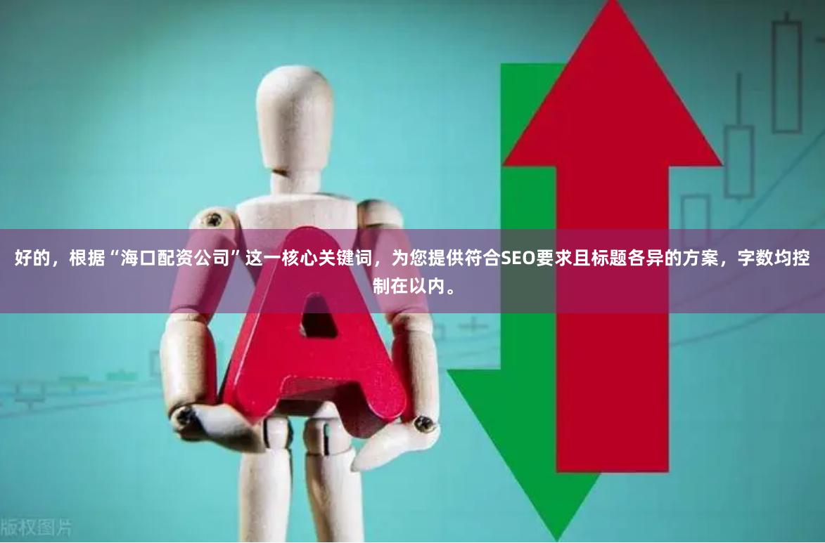 好的，根据“海口配资公司”这一核心关键词，为您提供符合SEO要求且标题各异的方案，字数均控制在以内。